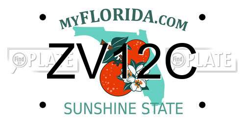 ZV12C Florida License Plate