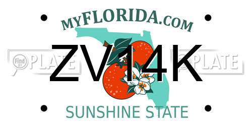 ZV14K Florida License Plate