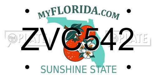 ZVC542 Florida License Plate