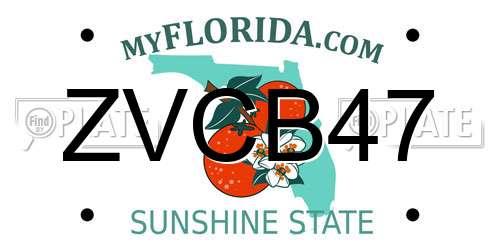 ZVCB47 Florida License Plate