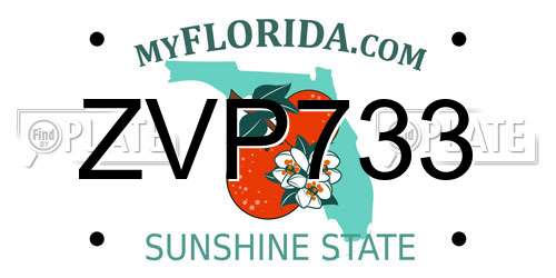 ZVP733 Florida License Plate