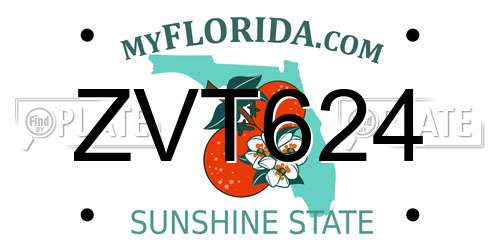 ZVT624 Florida License Plate