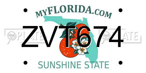 ZVT674 Florida License Plate
