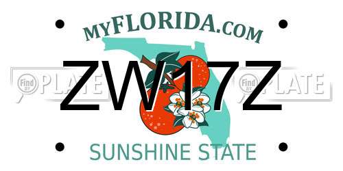 ZW17Z Florida License Plate