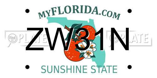 ZW31N Florida License Plate