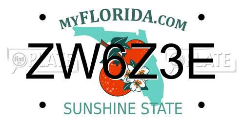 ZW6Z3E Florida License Plate