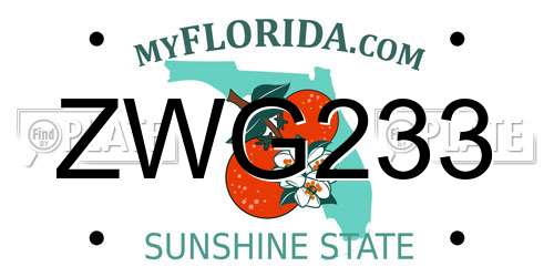 ZWG233 Florida License Plate