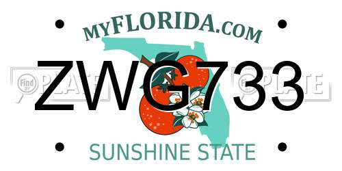 ZWG733 Florida License Plate