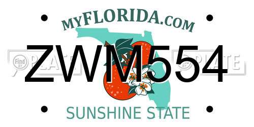 ZWM554 Florida License Plate