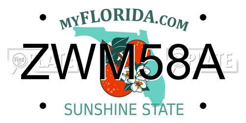 ZWM58A Florida License Plate