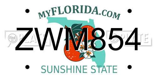 ZWM854 Florida License Plate