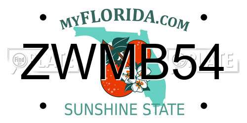 ZWMB54 Florida License Plate