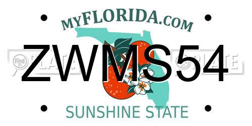 ZWMS54 Florida License Plate