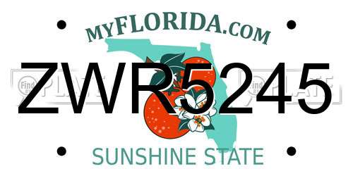 ZWR5245 Florida License Plate