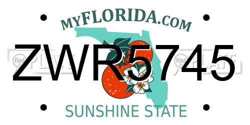 ZWR5745 Florida License Plate