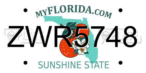 ZWR5748 Florida License Plate