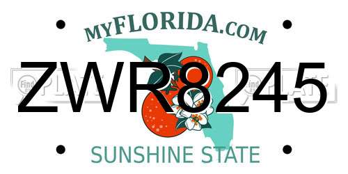 ZWR8245 Florida License Plate