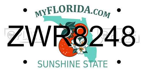 ZWR8248 Florida License Plate