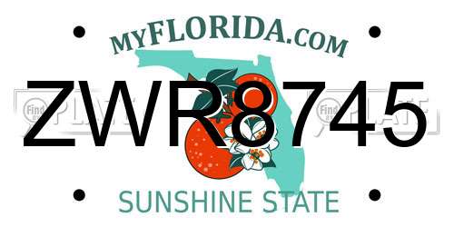 ZWR8745 Florida License Plate