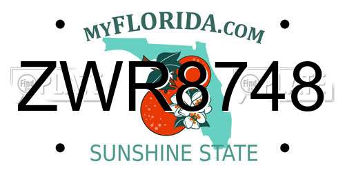 ZWR8748 Florida License Plate