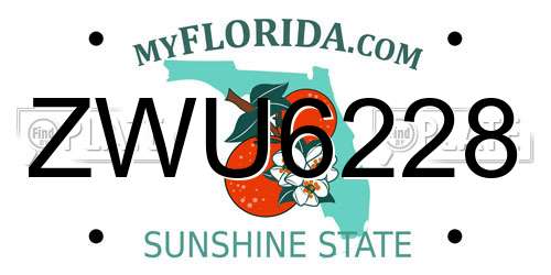 ZWU6228 Florida License Plate