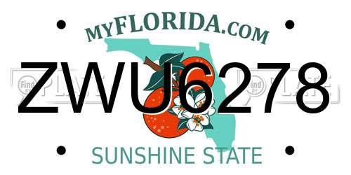 ZWU6278 Florida License Plate