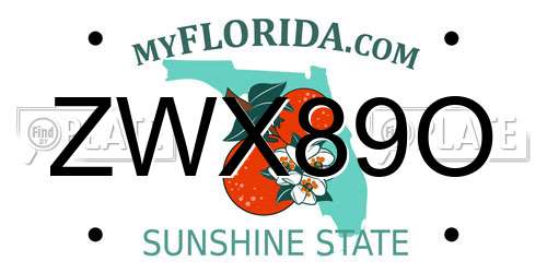 ZWX89O Florida License Plate