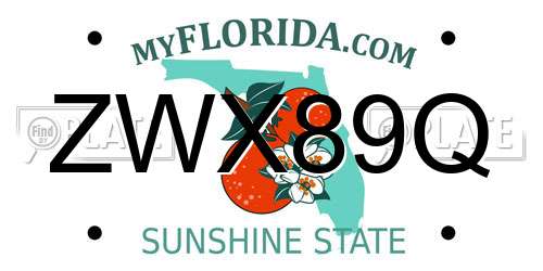 ZWX89Q Florida License Plate