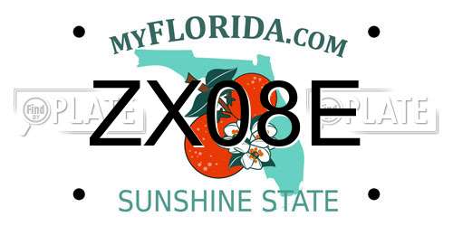 ZX08E Florida License Plate