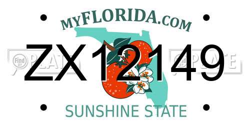 ZX12149 Florida License Plate