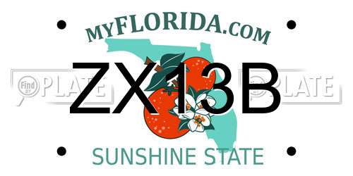 ZX13B Florida License Plate
