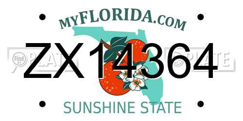 ZX14364 Florida License Plate