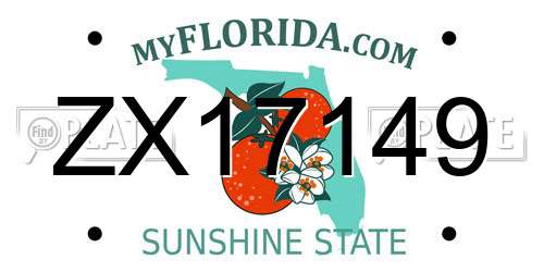ZX17149 Florida License Plate