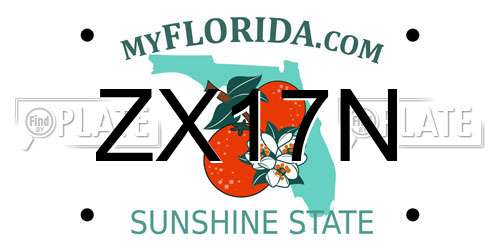 ZX17N Florida License Plate