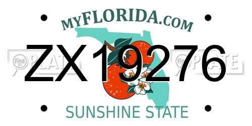 ZX19276 Florida License Plate