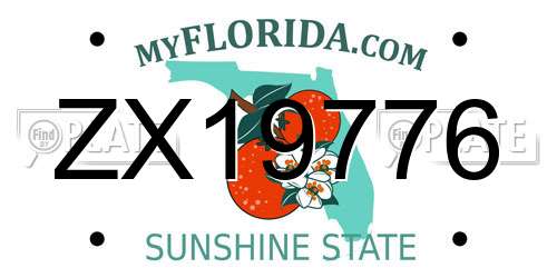ZX19776 Florida License Plate