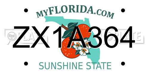 ZX1A364 Florida License Plate