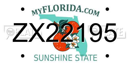 ZX22195 Florida License Plate