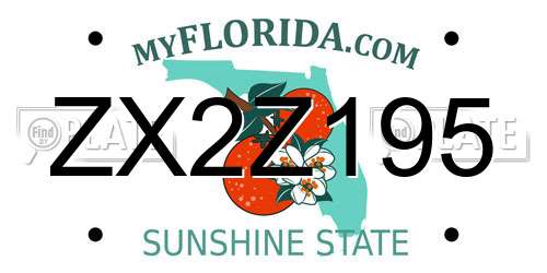 ZX2Z195 Florida License Plate