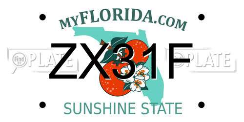 ZX31F Florida License Plate