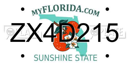 ZX4D215 Florida License Plate
