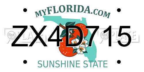 ZX4D715 Florida License Plate