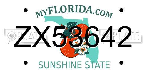 ZX53642 Florida License Plate