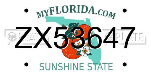 ZX53647 Florida License Plate