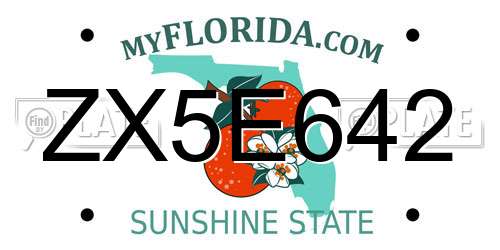 ZX5E642 Florida License Plate