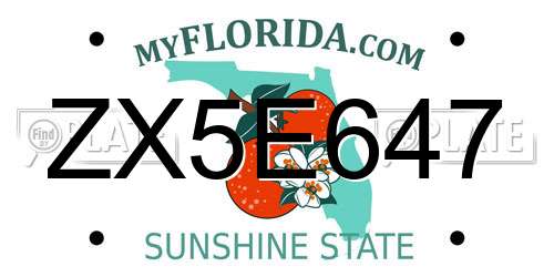ZX5E647 Florida License Plate