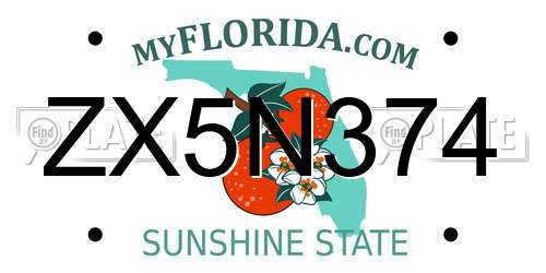 ZX5N374 Florida License Plate