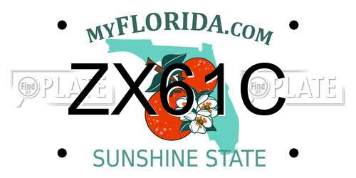ZX61C Florida License Plate