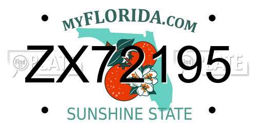 ZX72195 Florida License Plate