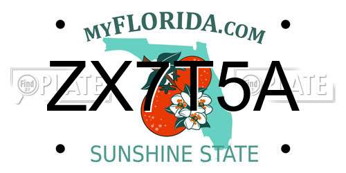 ZX7T5A Florida License Plate